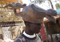 Mystery antelope