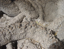 Mystery bumps