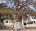 04baobab0688