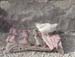 08fish_chick1213