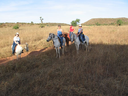 01horse0198